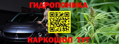 эйфоретик Кимры