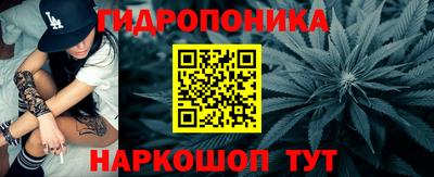наркотики Кингисепп