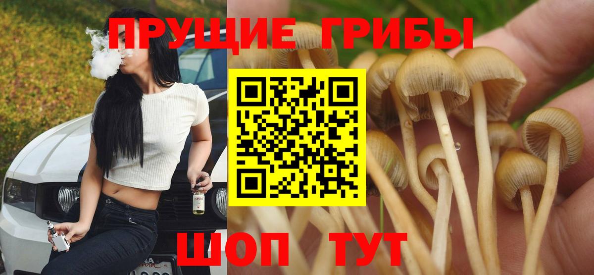 Псилоцибиновые грибы Cubensis  Галлюциногенные грибы Cubensis  Коломна  магазин    Вход с VPN 